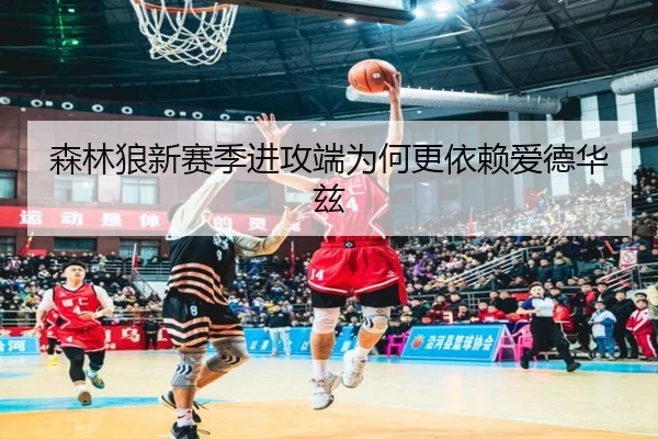 森林狼新赛季进攻端为何更依赖爱德华兹