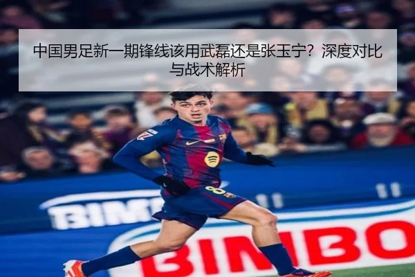 中国男足新一期锋线该用武磊还是张玉宁？深度对比与战术解析